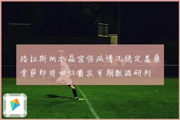 格拉斯纳水晶宫伤病情况稳定盖桑索萨即将回归首发可期数据研判