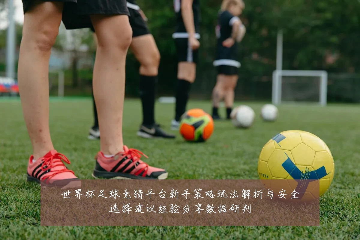 世界杯足球竞猜平台新手策略玩法解析与安全选择建议经验分享数据研判