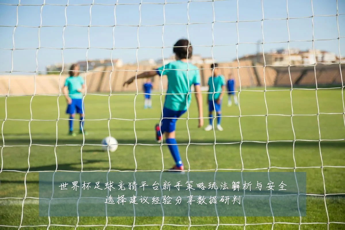 世界杯足球竞猜平台新手策略玩法解析与安全选择建议经验分享数据研判