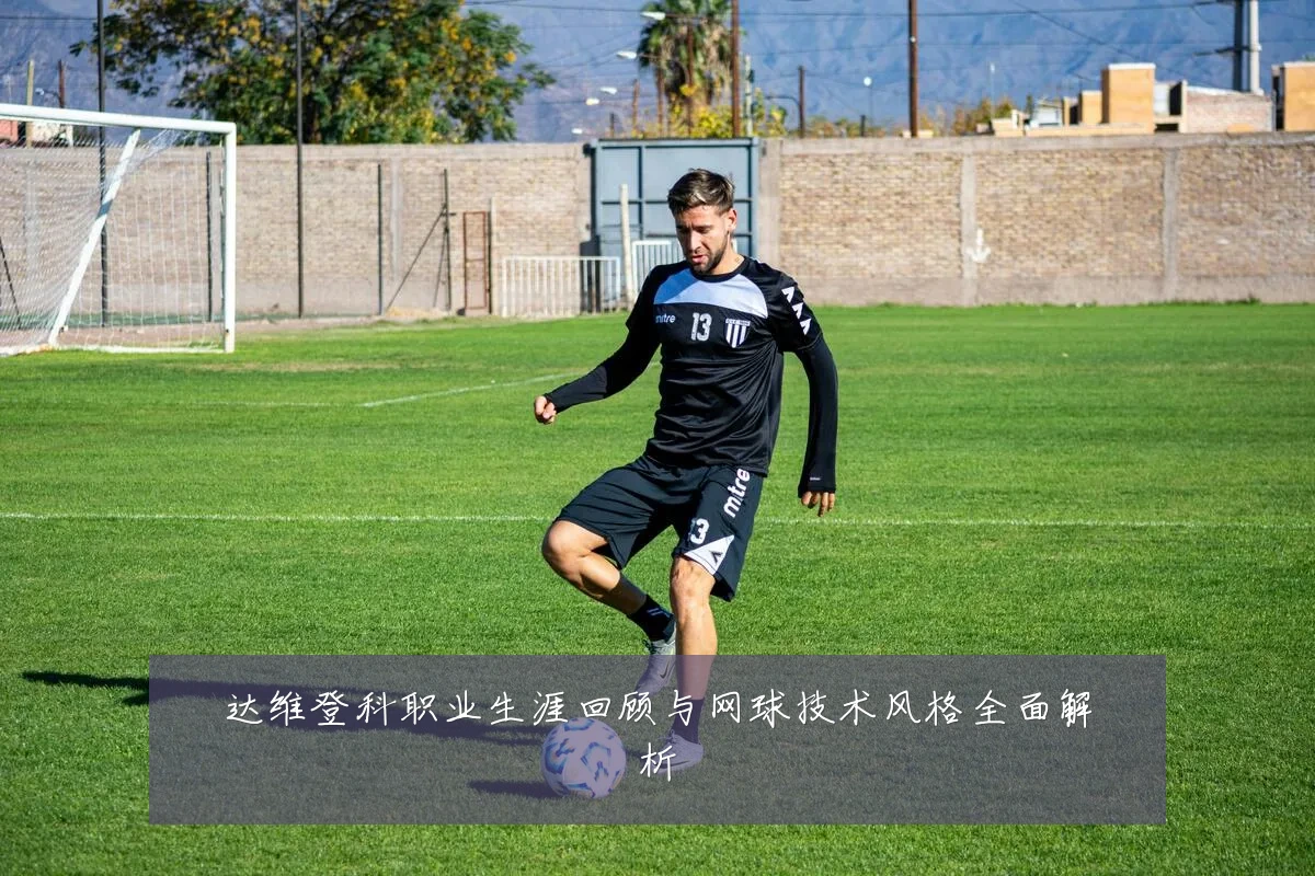 达维登科职业生涯回顾与网球技术风格全面解析