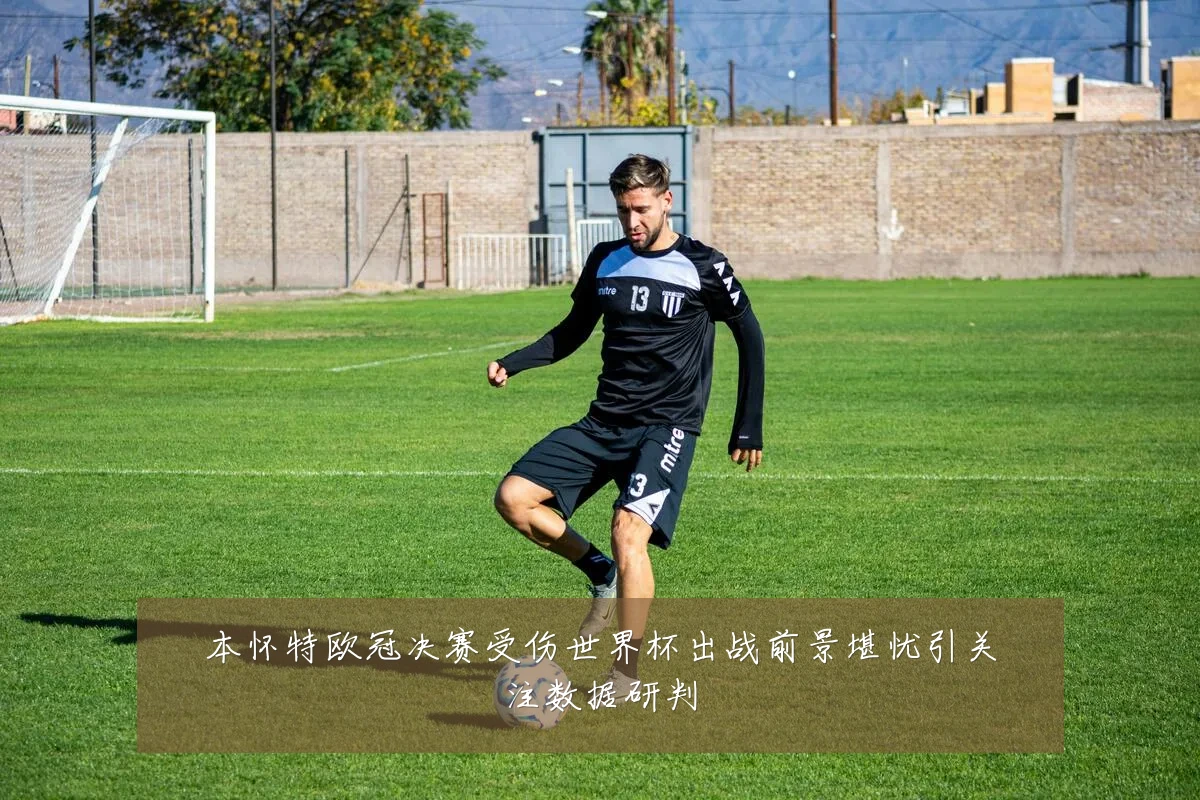 本怀特欧冠决赛受伤世界杯出战前景堪忧引关注数据研判