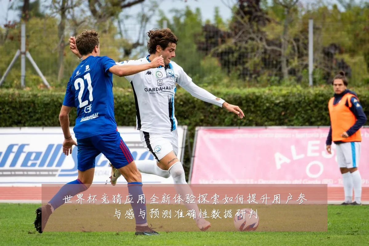 世界杯竞猜应用全新体验探索如何提升用户参与感与预测准确性数据研判